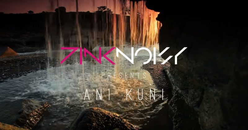 Pink Noisy Ani Kuni