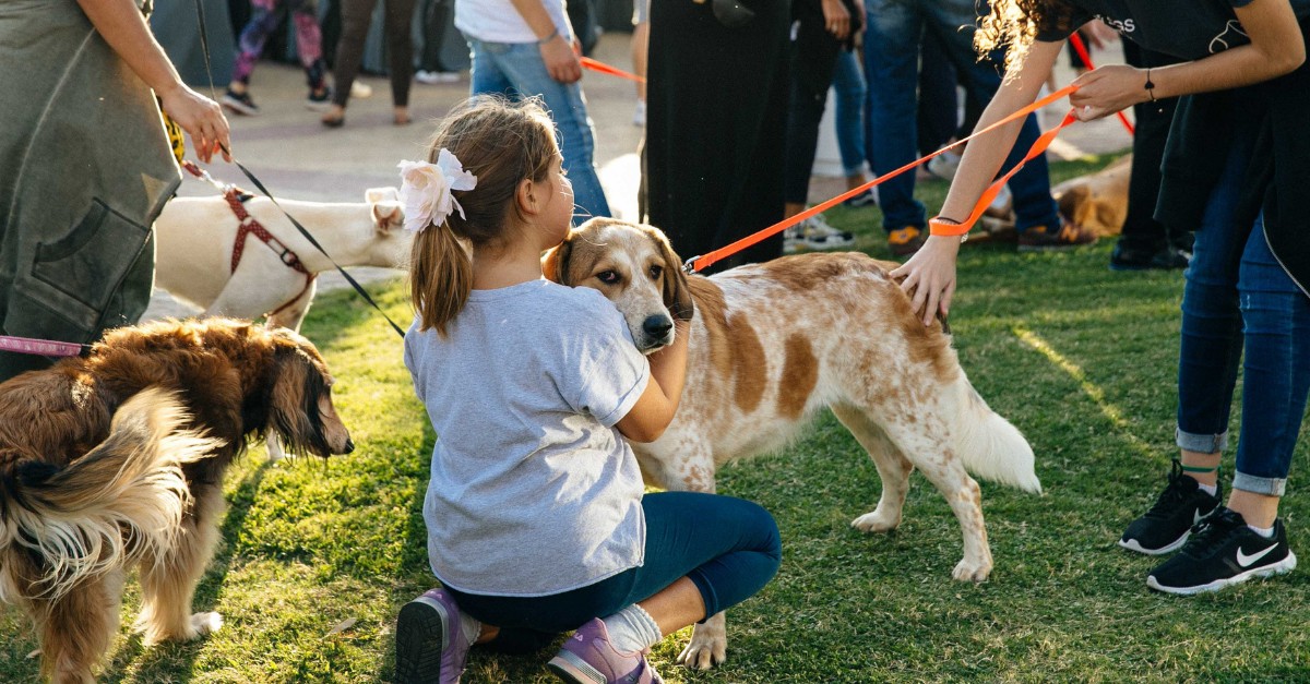 SGS Family & Pets Festival